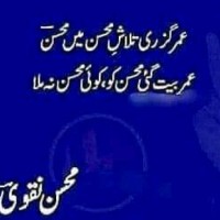 Mohsin Ali Shah Syed