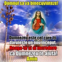 Vasile S Vasile