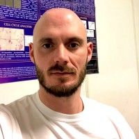 Alessandro Pini