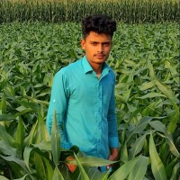 Md Hasinur Islam
