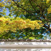 董海月