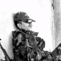 محمود علي