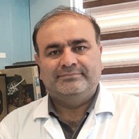 Seyed Javad Seyed Shenava