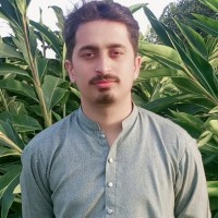 Hamza Gul
