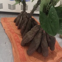 丁永春