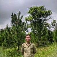 Ikhwan Nur Alim