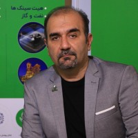 Mohammad Ali Naderi