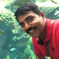 Sreejith N