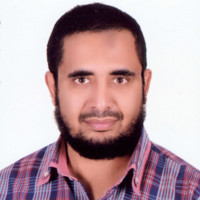 Tarek Elwasif