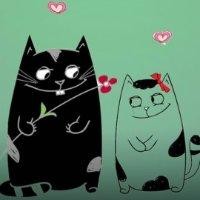 吕磊磊