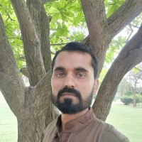 Mustansar Hussain