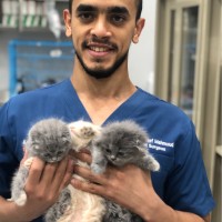 Yousef Mahmoud