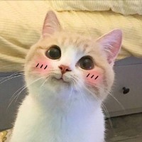 黄东灿