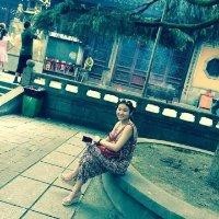 王苗新