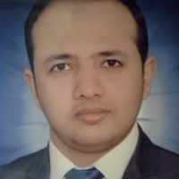 Waleed Mohamed Talat