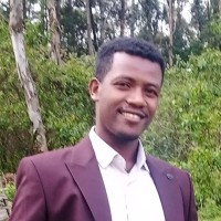 Adisu Hailu