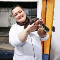 Ana Luiza de Souza Andretta