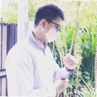 Anton .