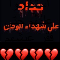 Amel Habib