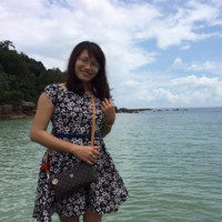 Hai Anh Vu