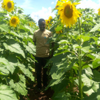 Daniel Bikora Nyambandwa