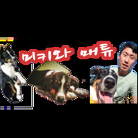 Matthew Park