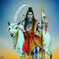 Jagdish Thakwani