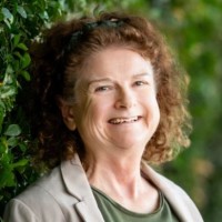Associate Professor Jane Nikles