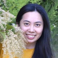 KimNgan Huynh