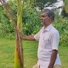Ashraf Jaffer