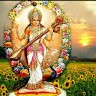 Krishna Kumar