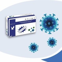 Covid Rapid Test Kit