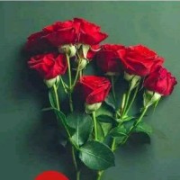 Sanjita Bhattacharyya