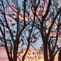 Gianfranco Ferracuti