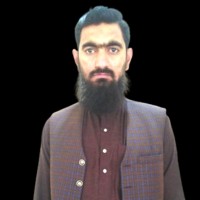 M. Usman Malik