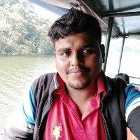 vigneshwaran v