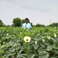 Arvind Masurkar