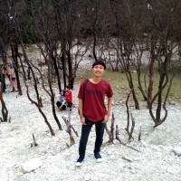 MUHAMMAD Albab