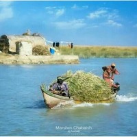 ابو رضا
