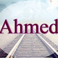 احمد المحمدي