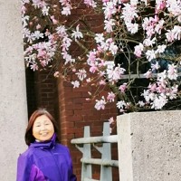 Wuhong Wang