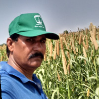 Sajjan Khangarot