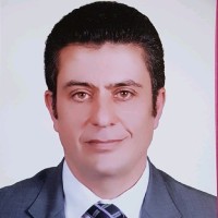 Maged Sawires