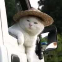 罗永财