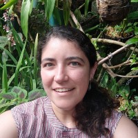 Maria Carolina Larré de Oliveira