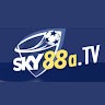 Sky TV