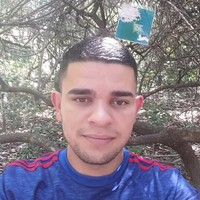 Fabiano Gomes
