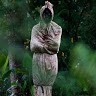 Misteri Id
