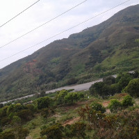 Yeylyn Zarerh Buitrago