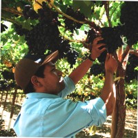 Fabián Ignacio González Pizarro